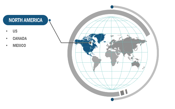 North America Offline Beauty Devices Market